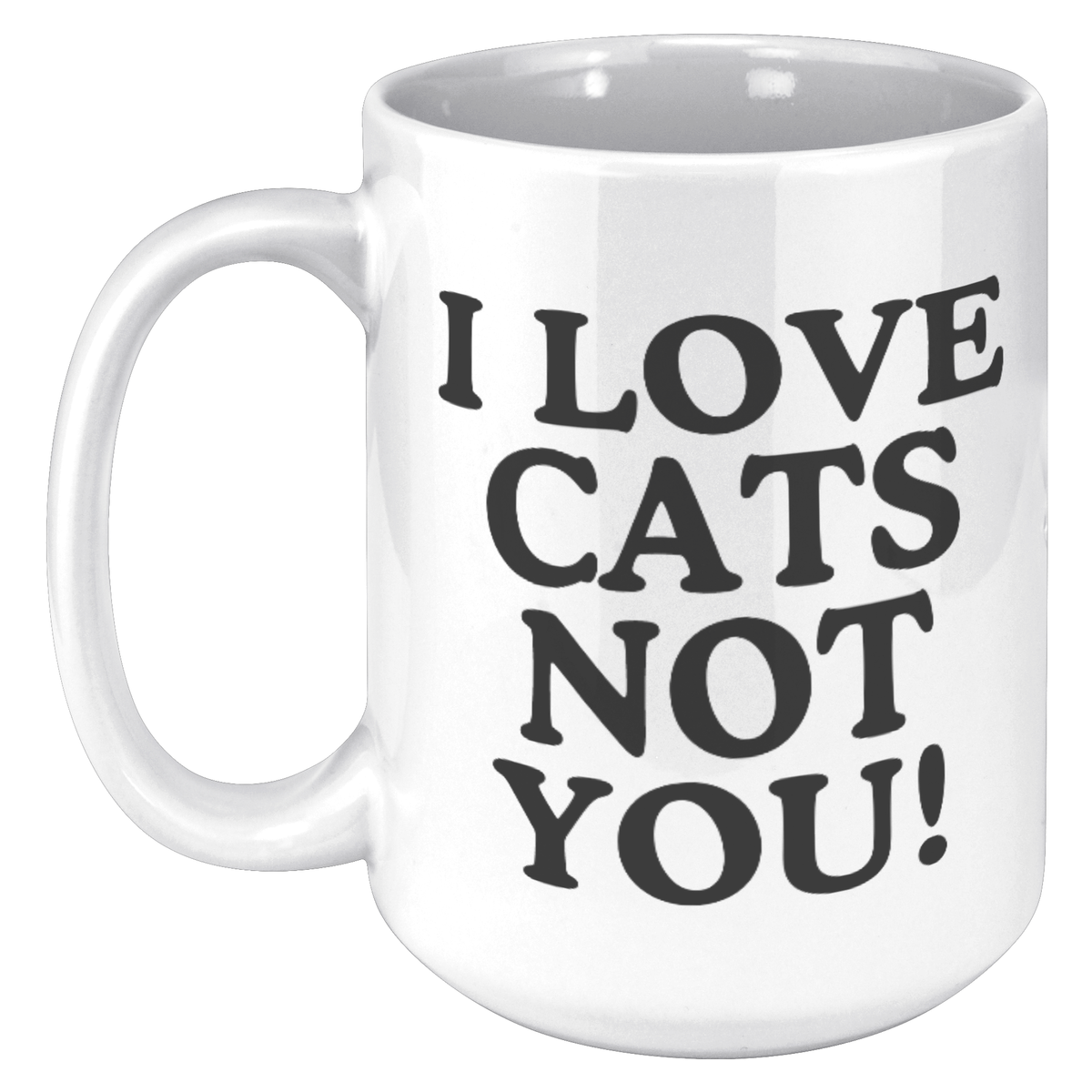 I Love Cats Not You 15oz White Mug