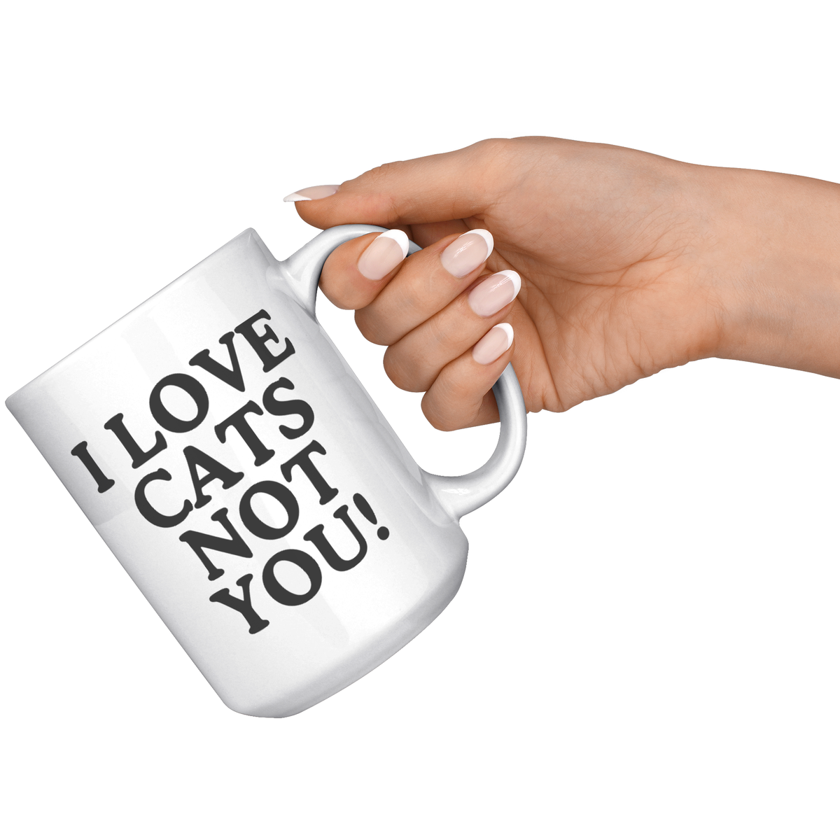 I Love Cats Not You 15oz White Mug