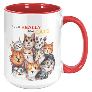15 oz accent mug 