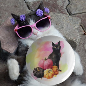 Black Cat And Pumpkins 10" Plate - crazyaboutcoffeeandcats